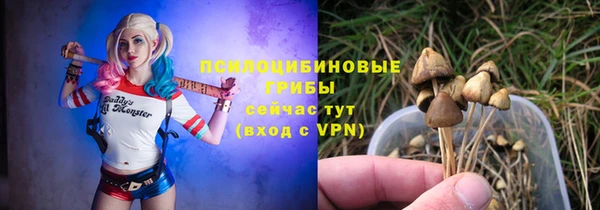 гашик Арсеньев