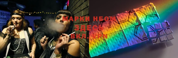твердый Аркадак