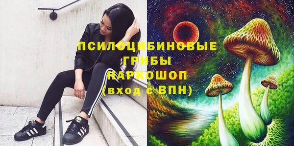 мдпв Дубовка