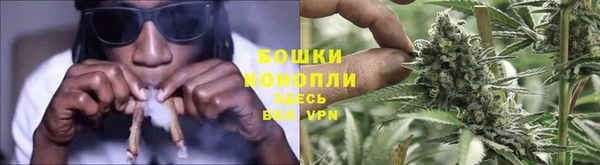 трава Дубна