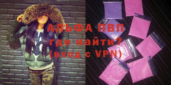 гашик Арсеньев
