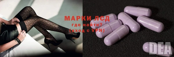 гашик Арсеньев