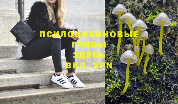 гашик Арсеньев