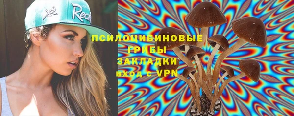 твердый Аркадак
