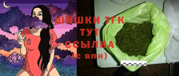 гашик Арсеньев