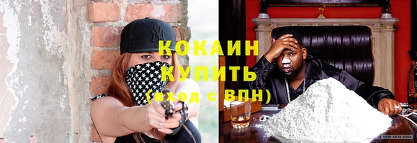 твердый Аркадак
